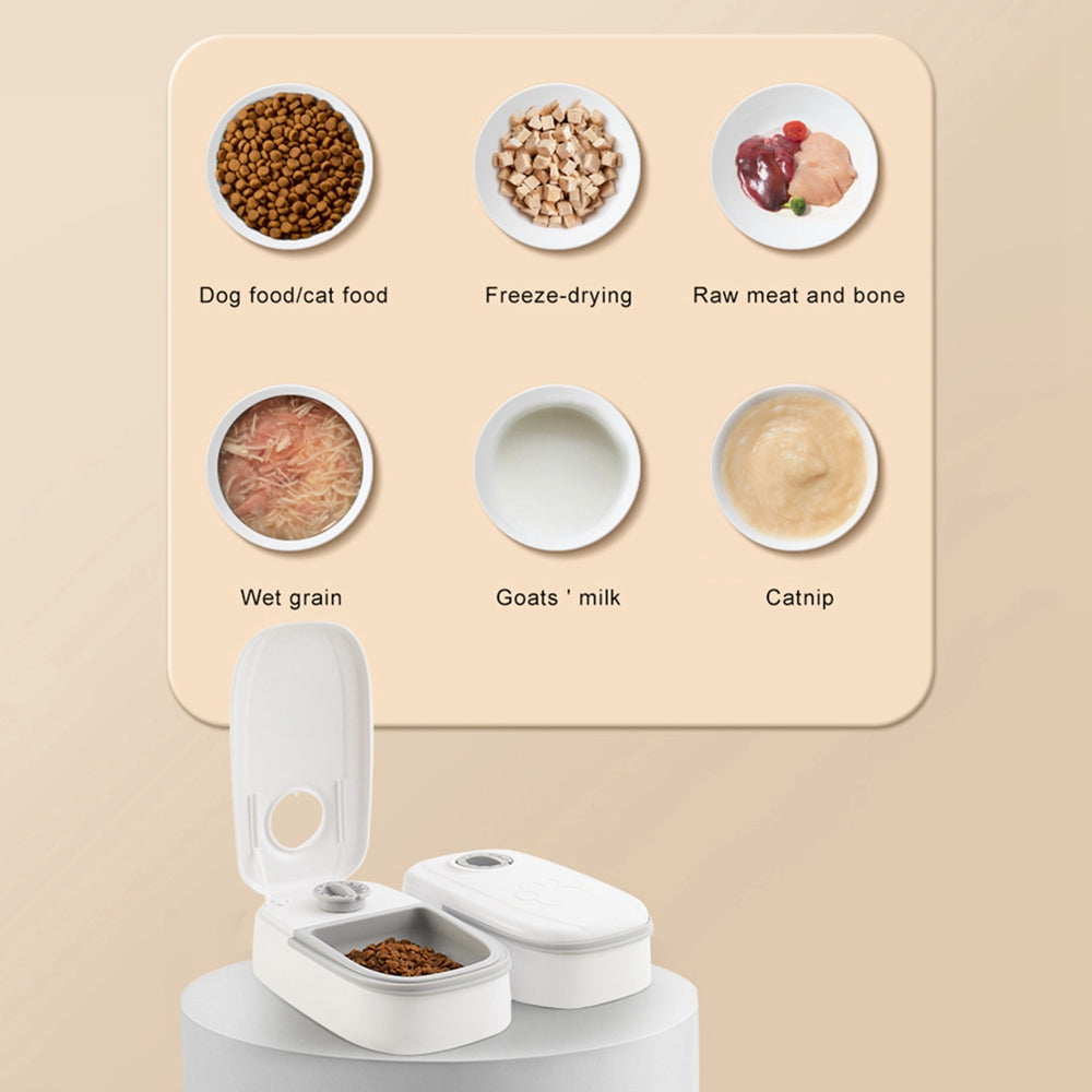 Smart Pet Feeder with Timer for Cats & Dogs – Automatic Food Dispenser